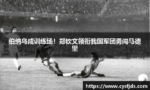 6T体育直播官网